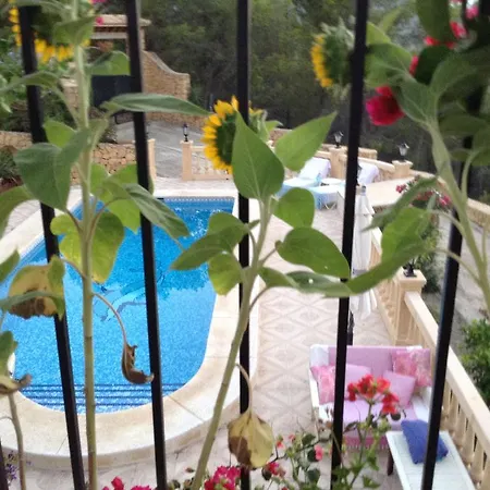 Casa Puig *